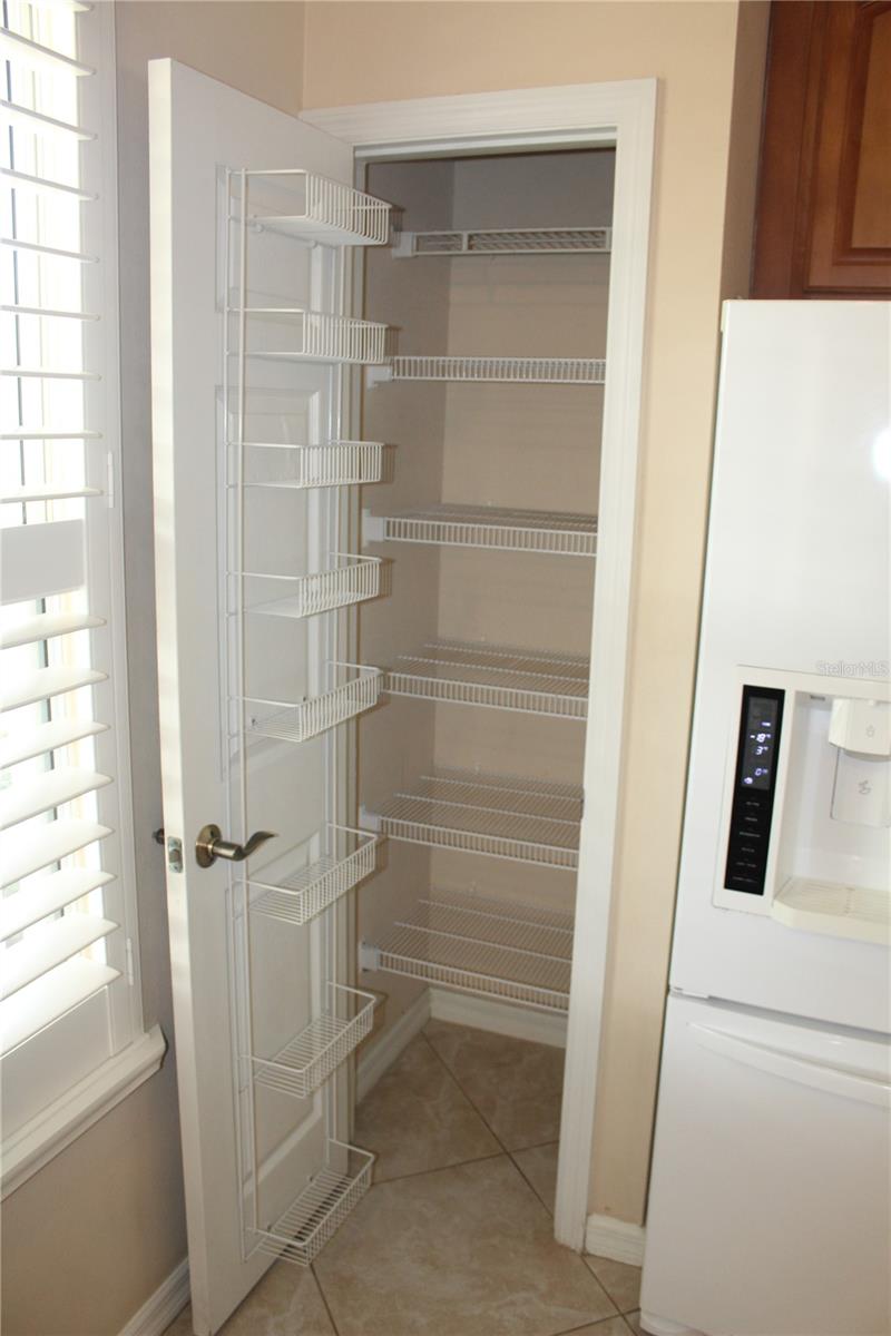 14252 CONFETTI DR, WINDERMERE, FL, 34786
