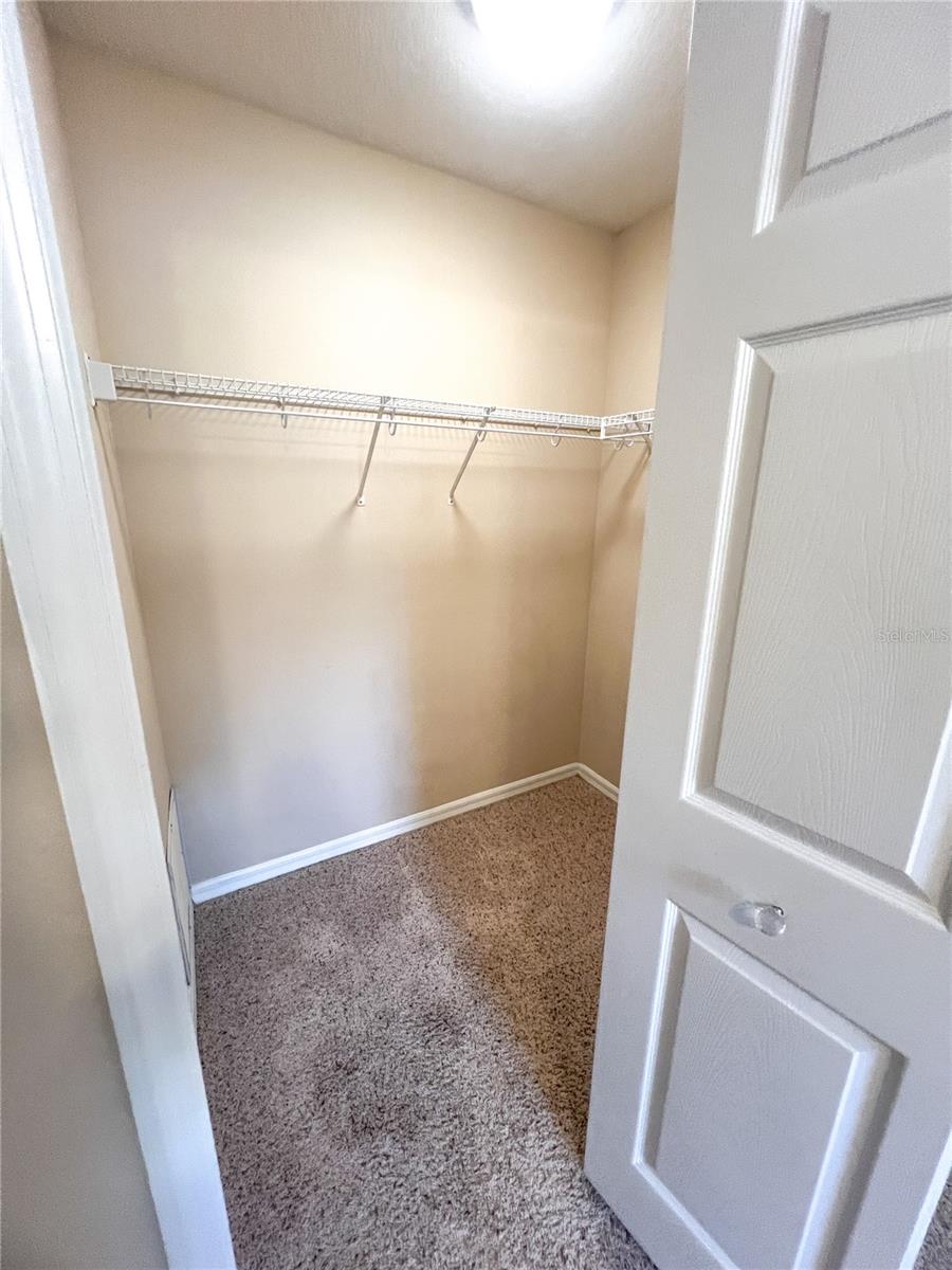 14252 CONFETTI DR, WINDERMERE, FL, 34786