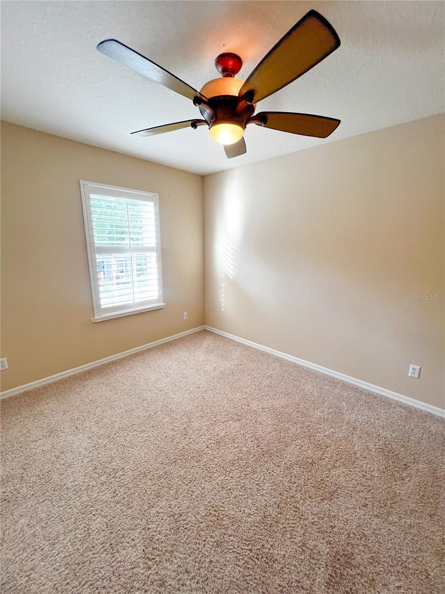 14252 CONFETTI DR, WINDERMERE, FL, 34786