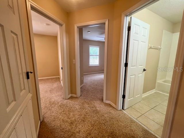 14252 CONFETTI DR, WINDERMERE, FL, 34786