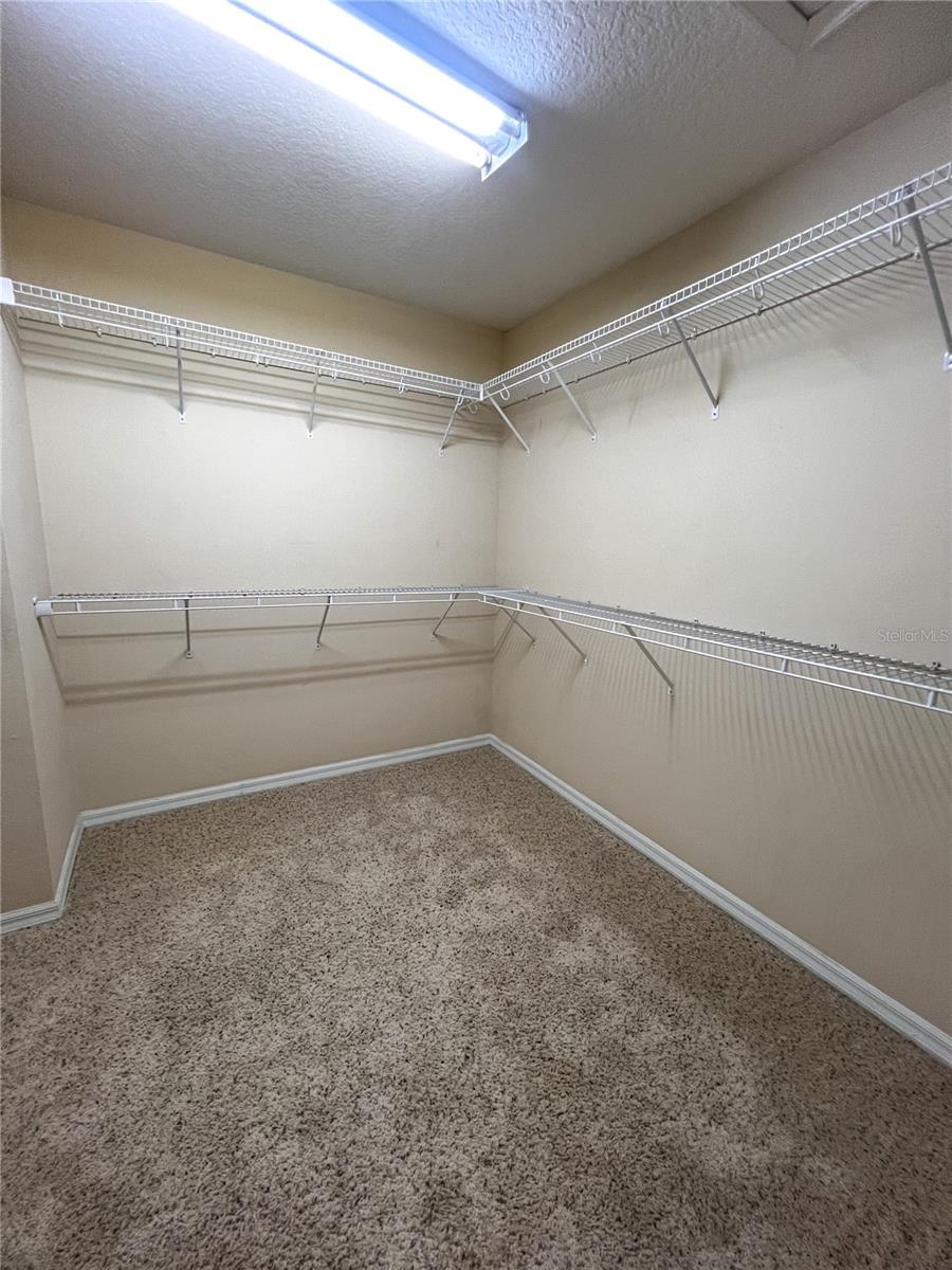 14252 CONFETTI DR, WINDERMERE, FL, 34786
