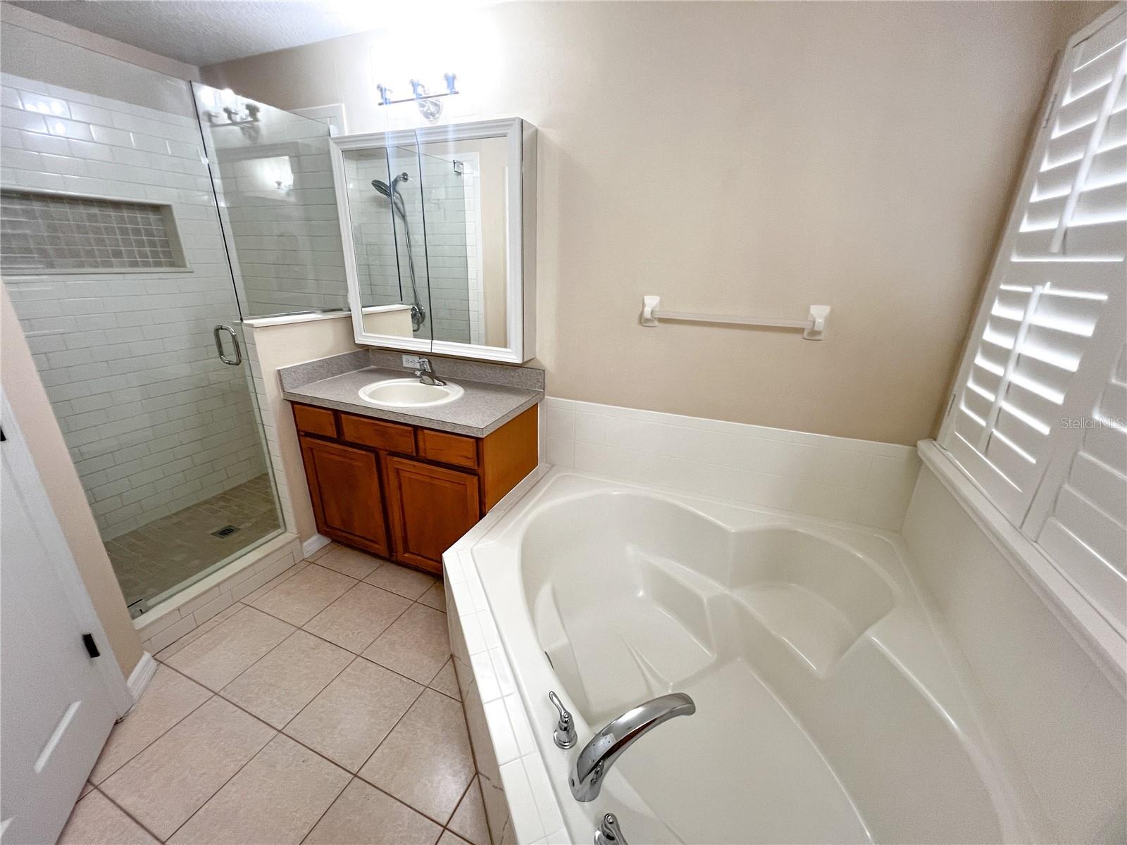14252 CONFETTI DR, WINDERMERE, FL, 34786