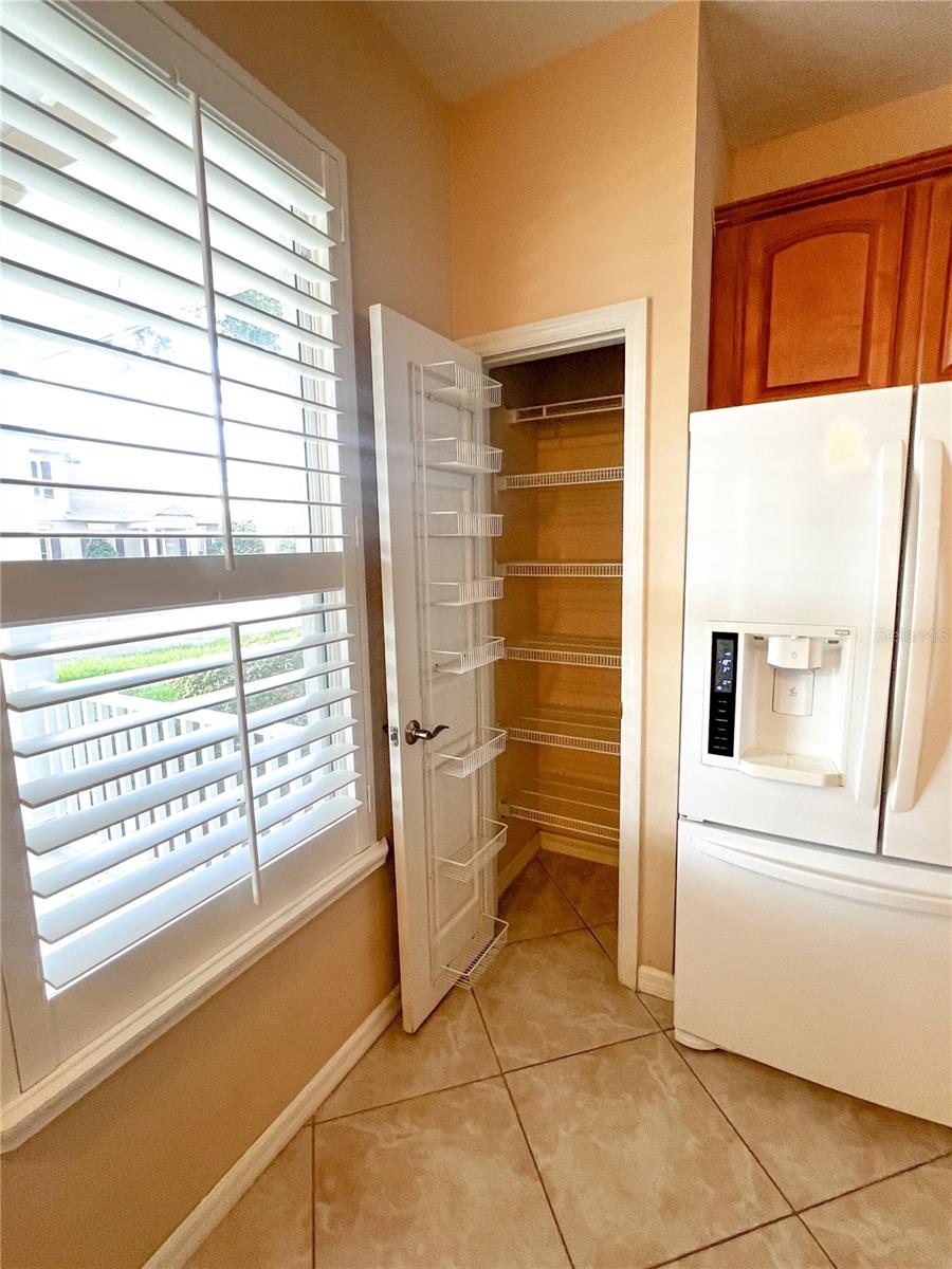14252 CONFETTI DR, WINDERMERE, FL, 34786
