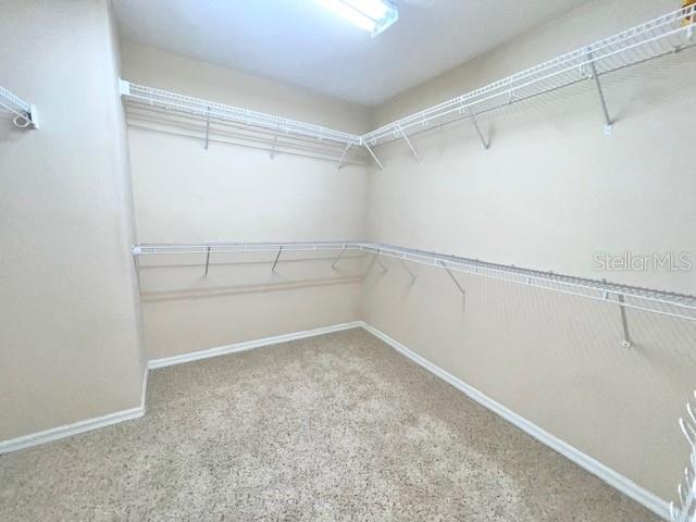 14252 CONFETTI DR, WINDERMERE, FL, 34786
