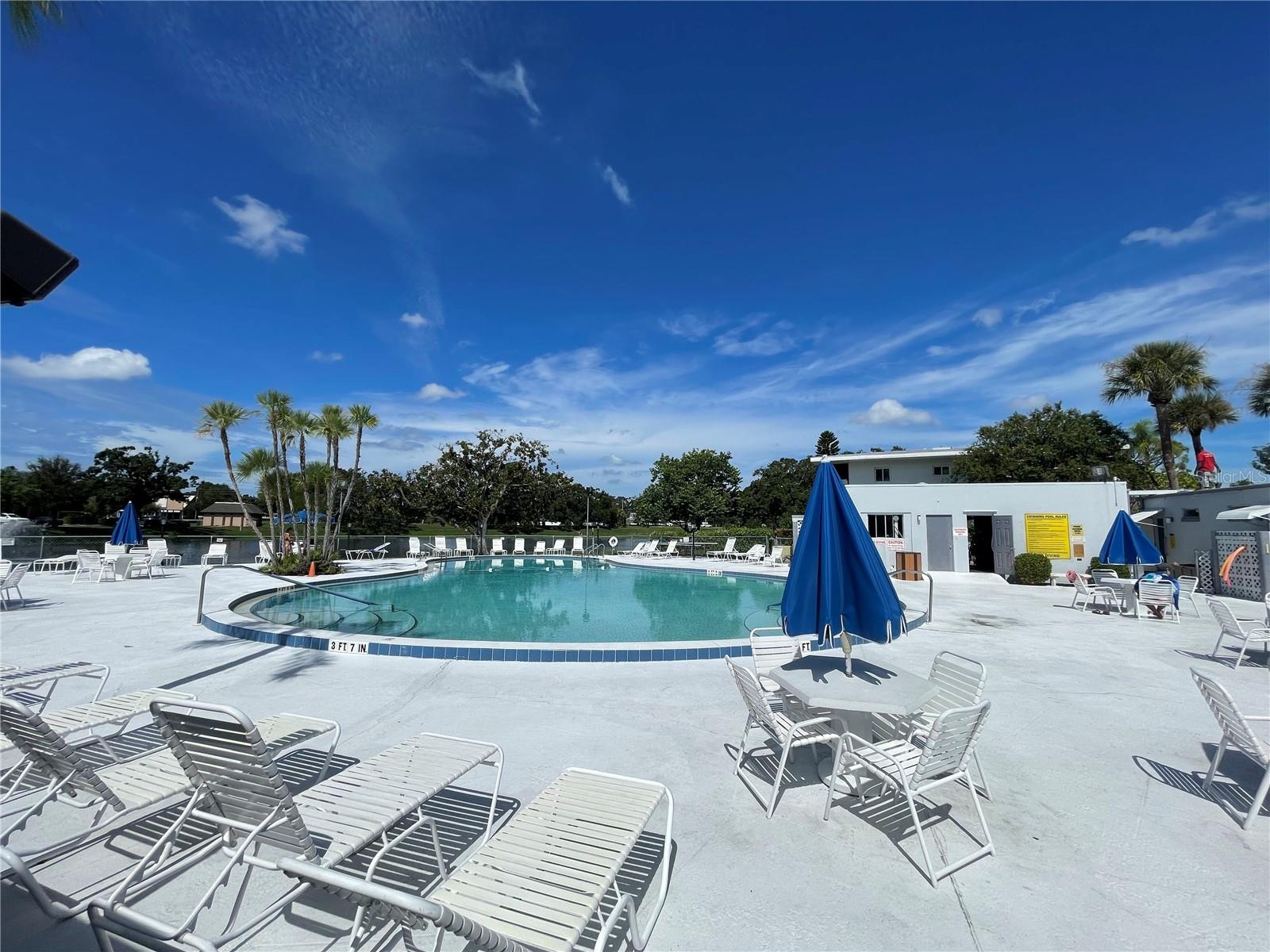 8075 112TH ST #203, SEMINOLE, FL, 33772