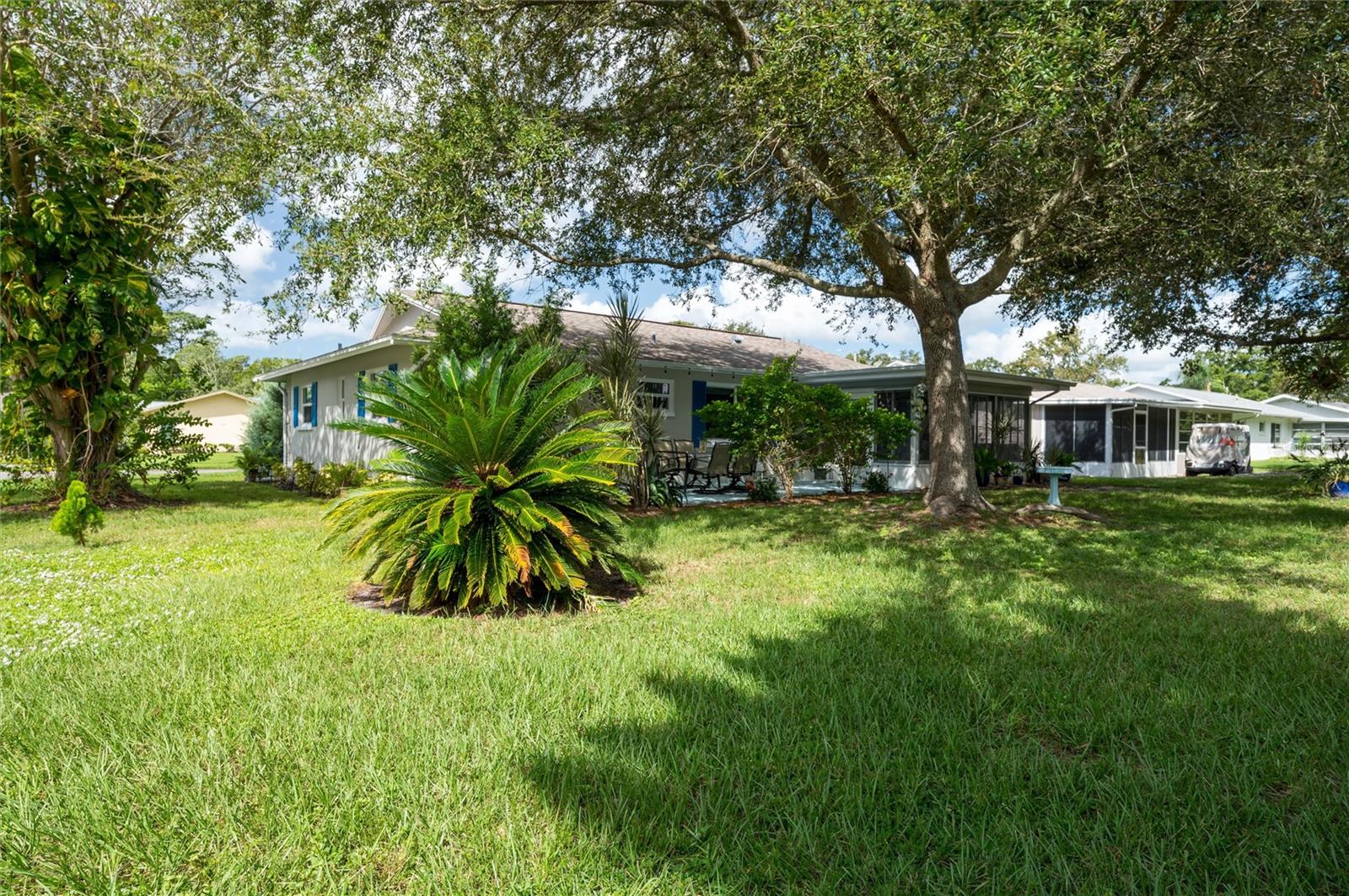 1472 QUEEN ANNE DR, PALM HARBOR, FL, 34684