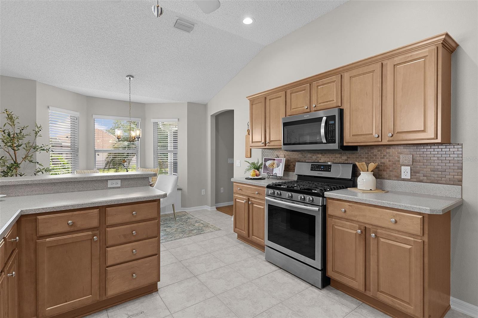 1577 BLYTHEWOOD LOOP, THE VILLAGES, FL, 32162