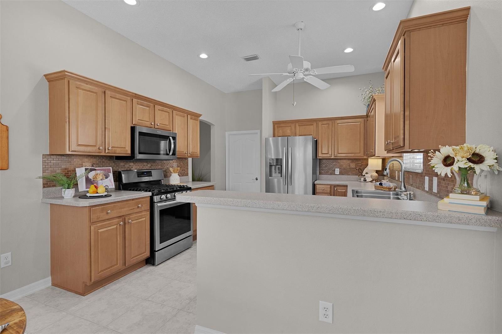 1577 BLYTHEWOOD LOOP, THE VILLAGES, FL, 32162