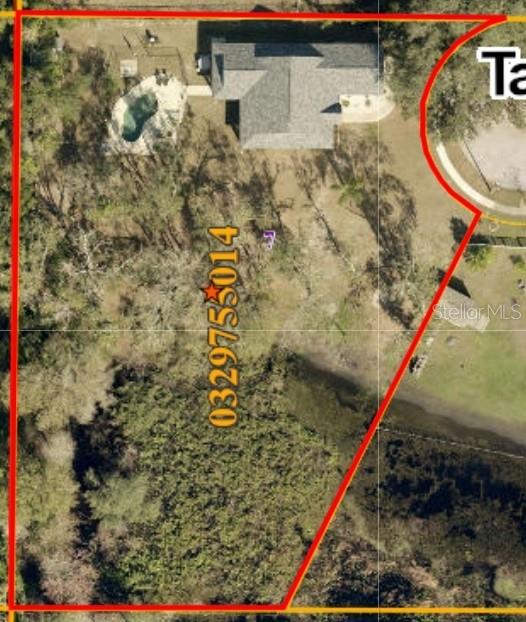 2401 TANGERINE HILL CT, LUTZ, FL, 33549