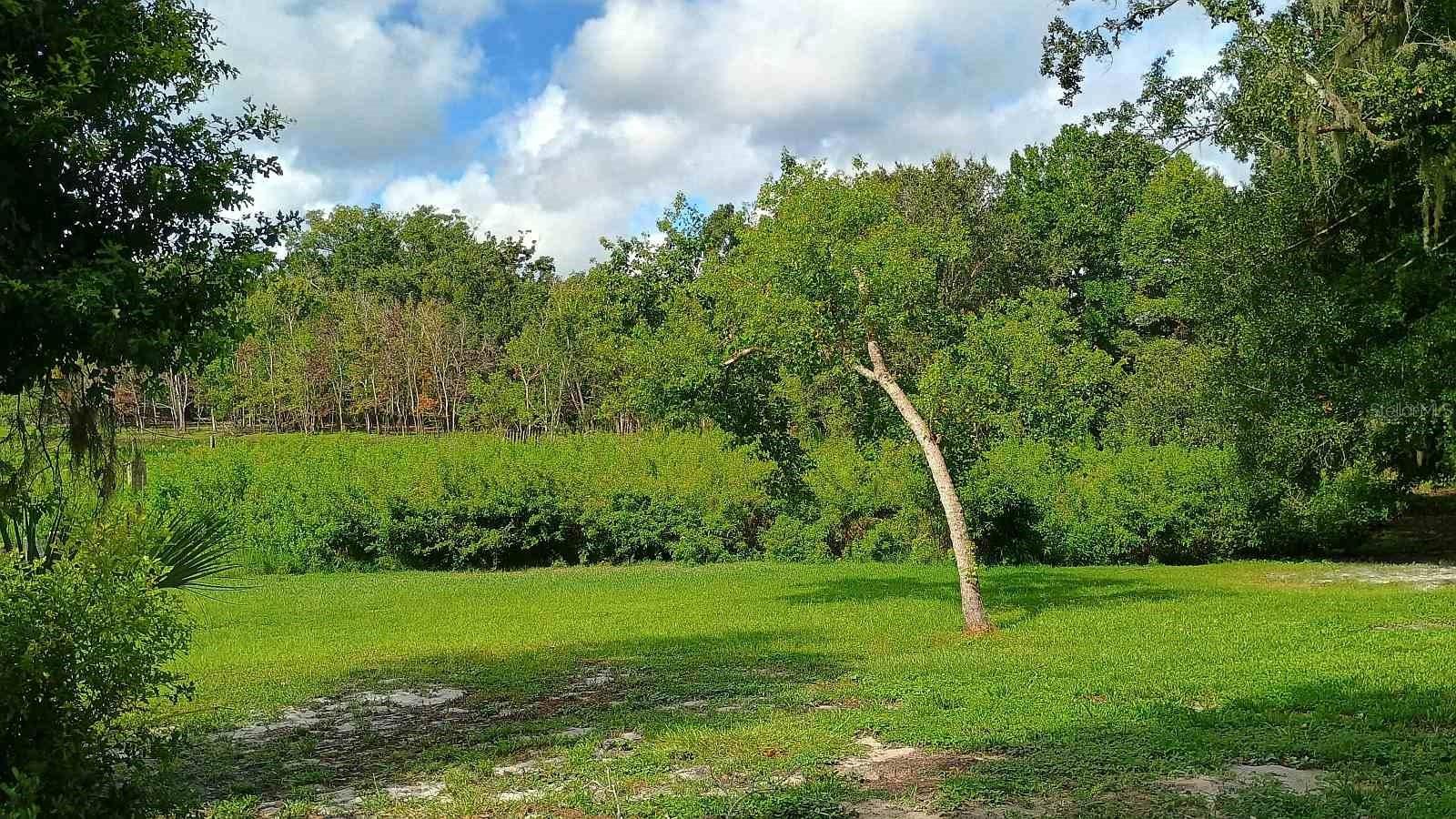 2401 TANGERINE HILL CT, LUTZ, FL, 33549