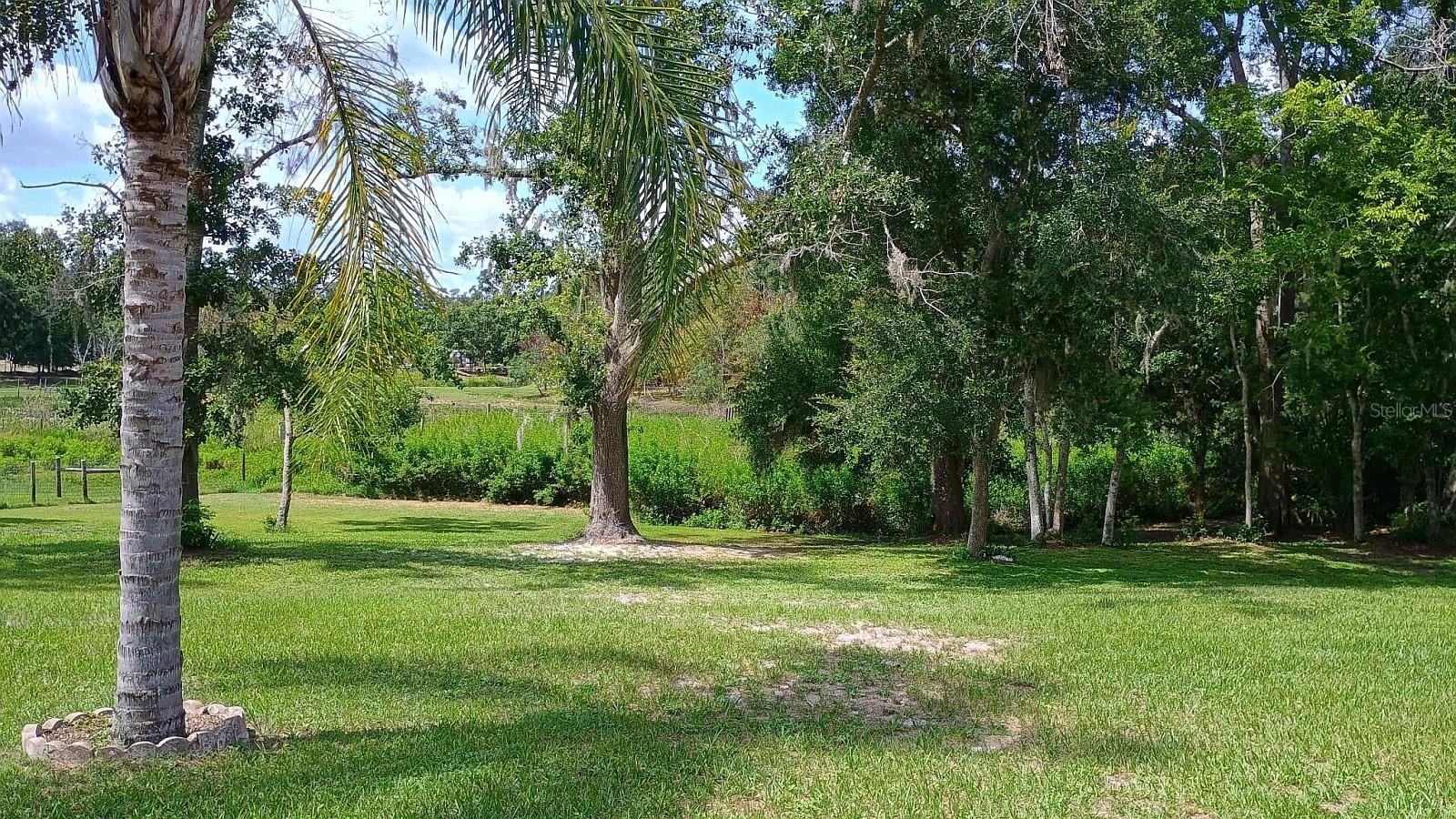 2401 TANGERINE HILL CT, LUTZ, FL, 33549