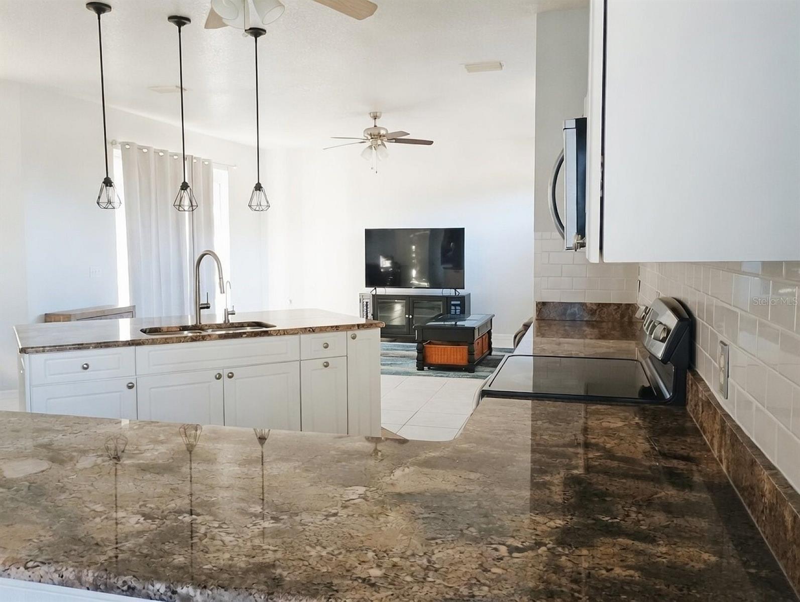 2401 TANGERINE HILL CT, LUTZ, FL, 33549