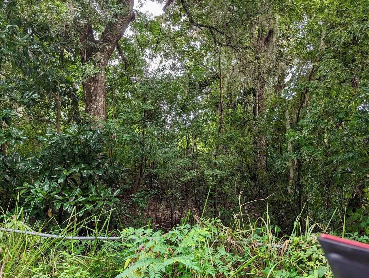 25130 NE 132ND LN, SALT SPRINGS, FL, 32134