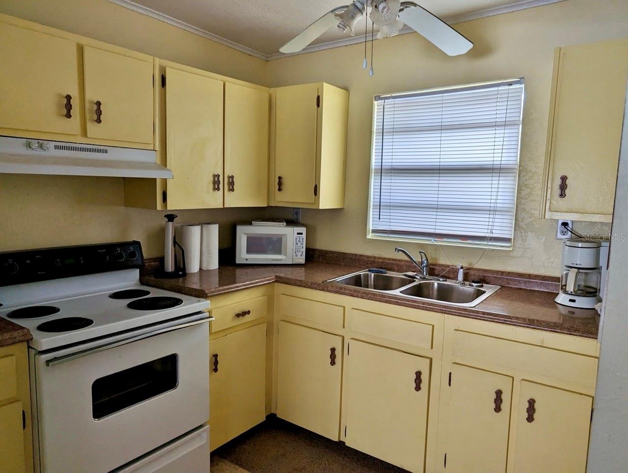 25130 NE 132ND LN, SALT SPRINGS, FL, 32134