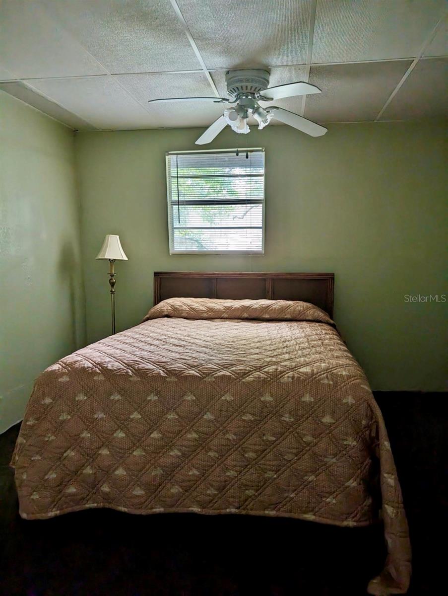 25130 NE 132ND LN, SALT SPRINGS, FL, 32134