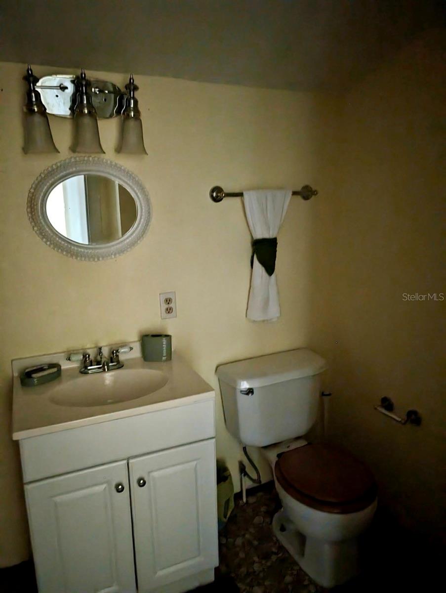 25130 NE 132ND LN, SALT SPRINGS, FL, 32134