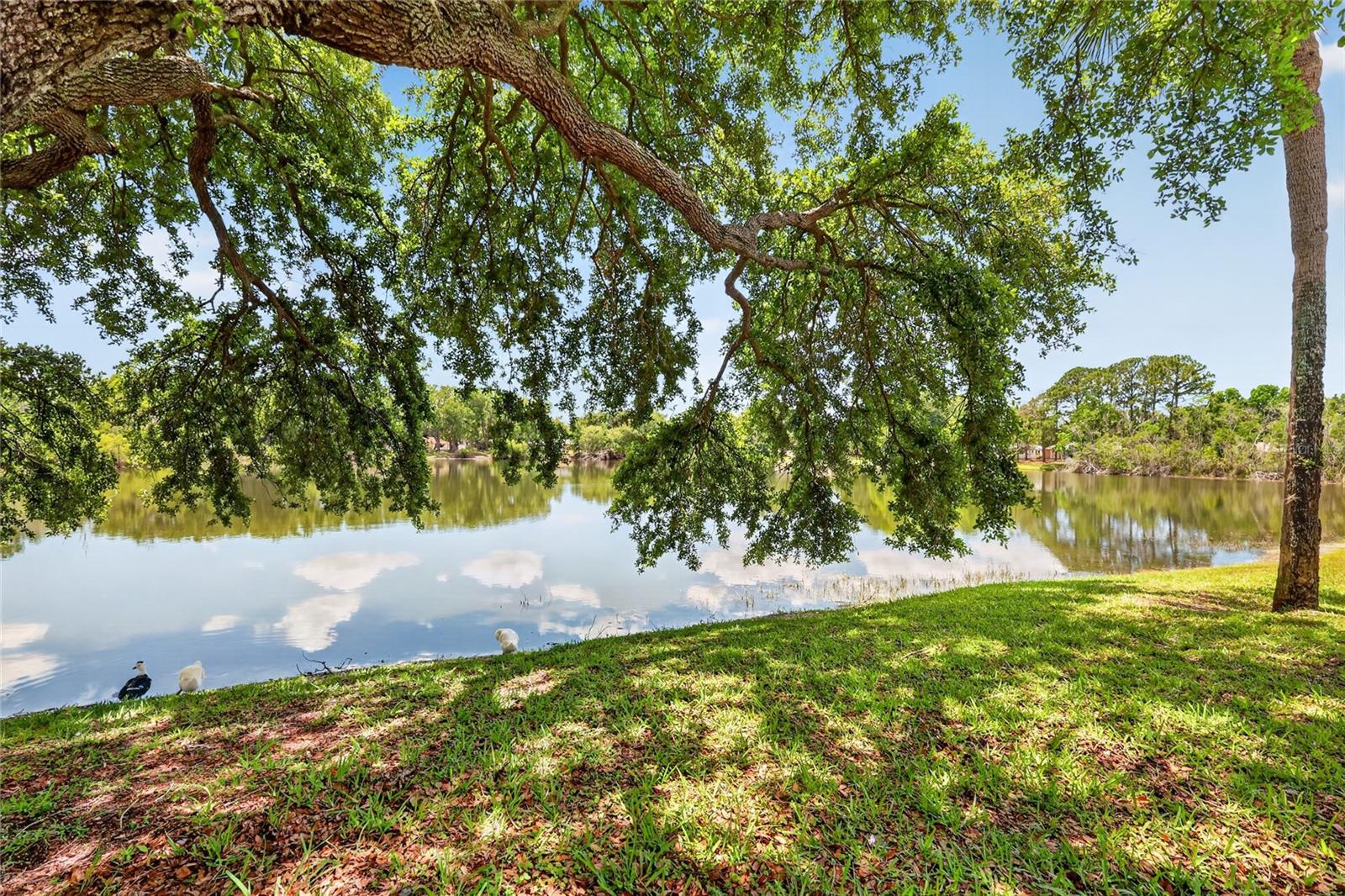 3001 STRATFORD LN, MOUNT DORA, FL, 32757