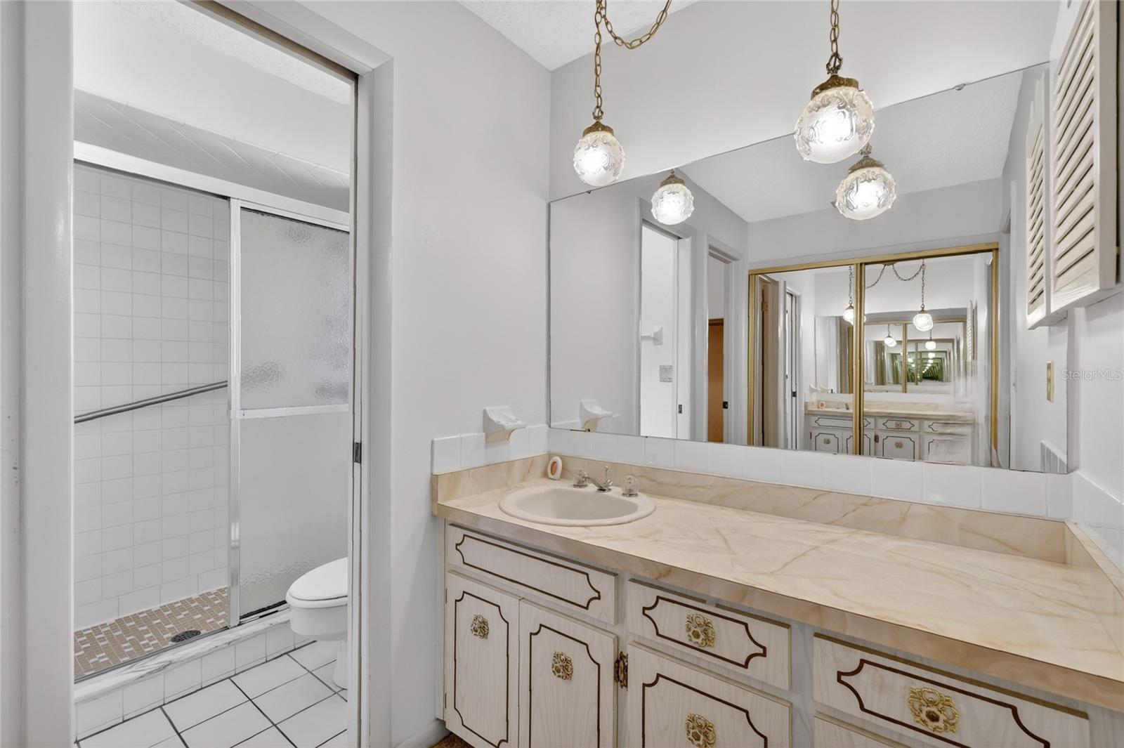 3001 STRATFORD LN, MOUNT DORA, FL, 32757