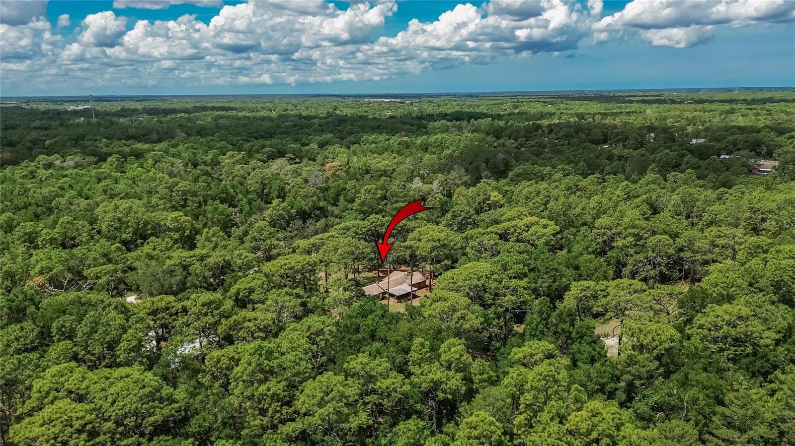 15337 VIRTS AVE, BROOKSVILLE, FL, 34604