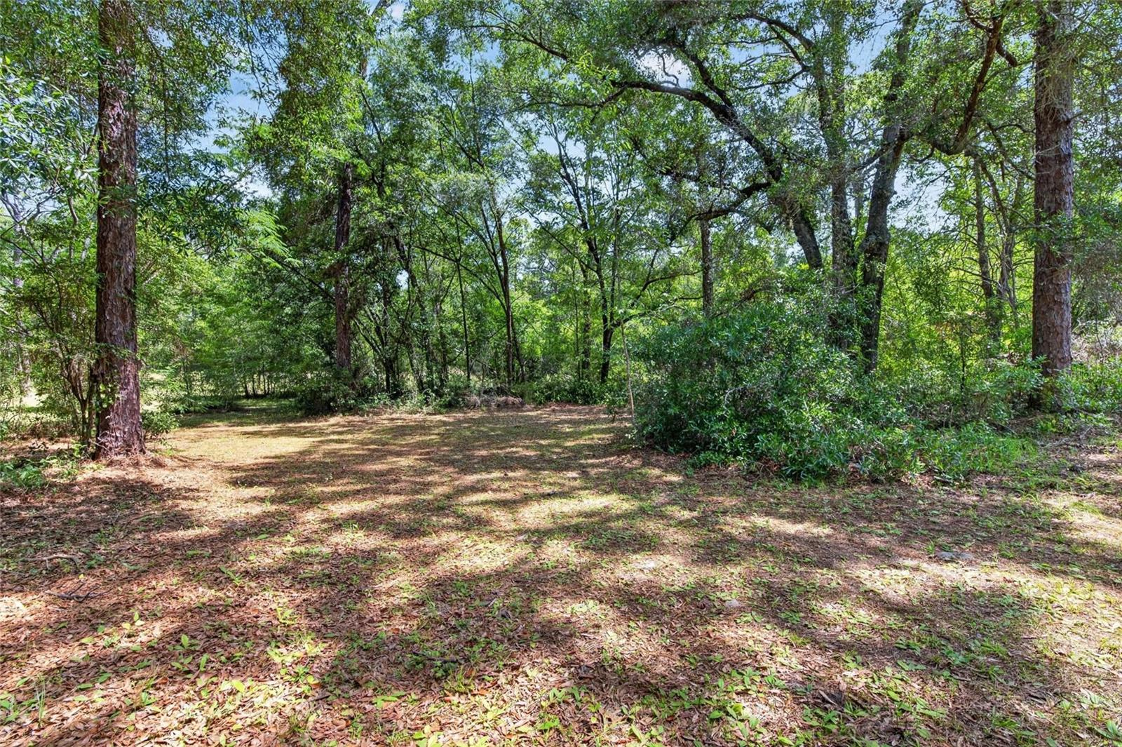 15337 VIRTS AVE, BROOKSVILLE, FL, 34604