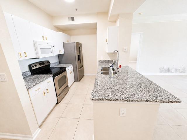 17102 CARRINGTON PARK DR #302, TAMPA, FL, 33647