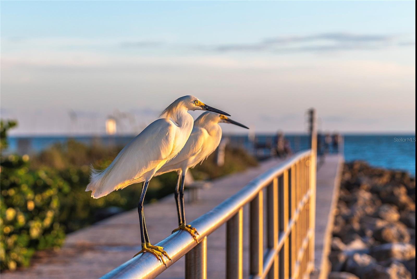 13440 1ST ST E, MADEIRA BEACH, FL, 33708