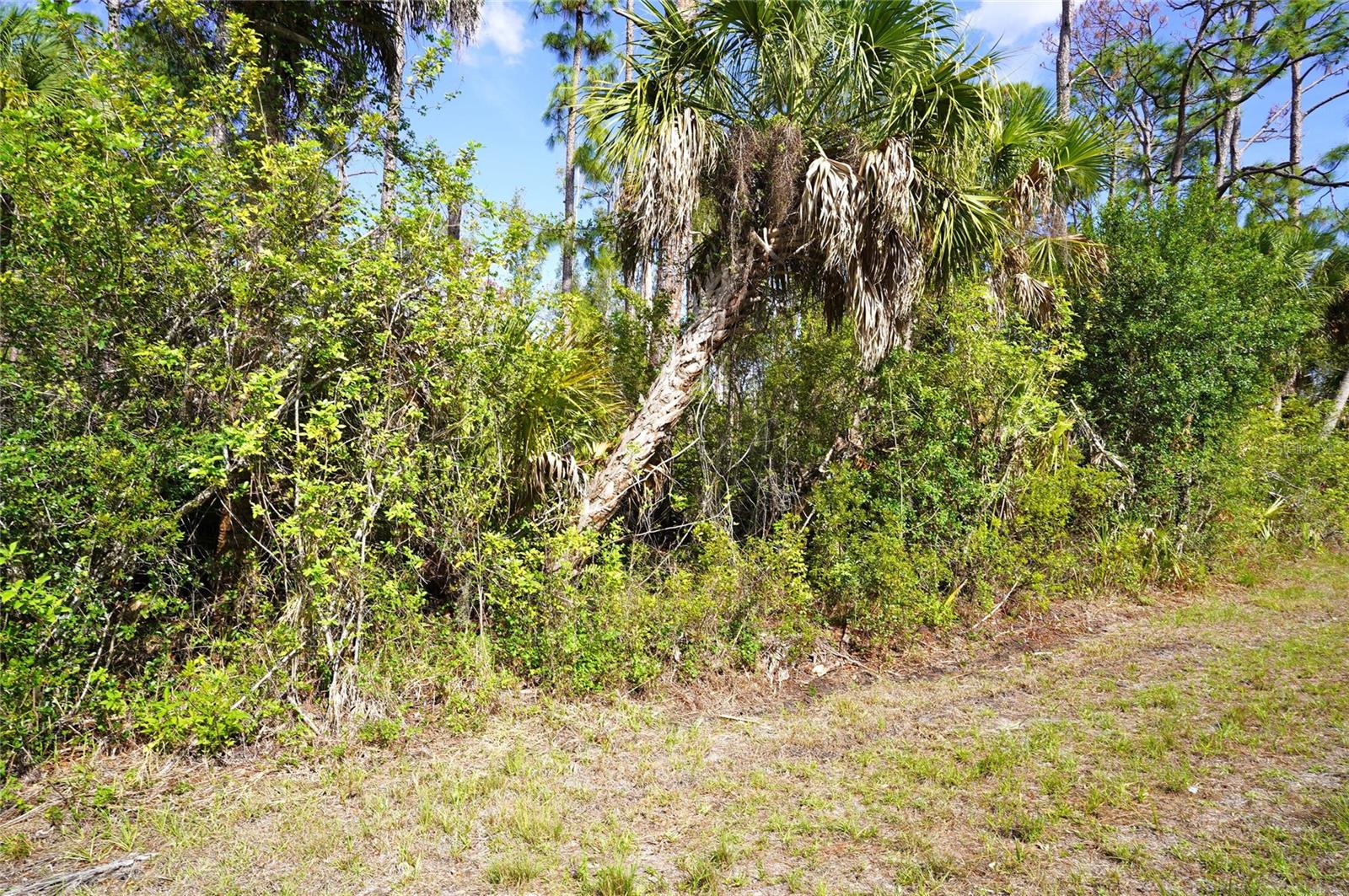 510 DAILEY ST, PORT CHARLOTTE, FL, 33953