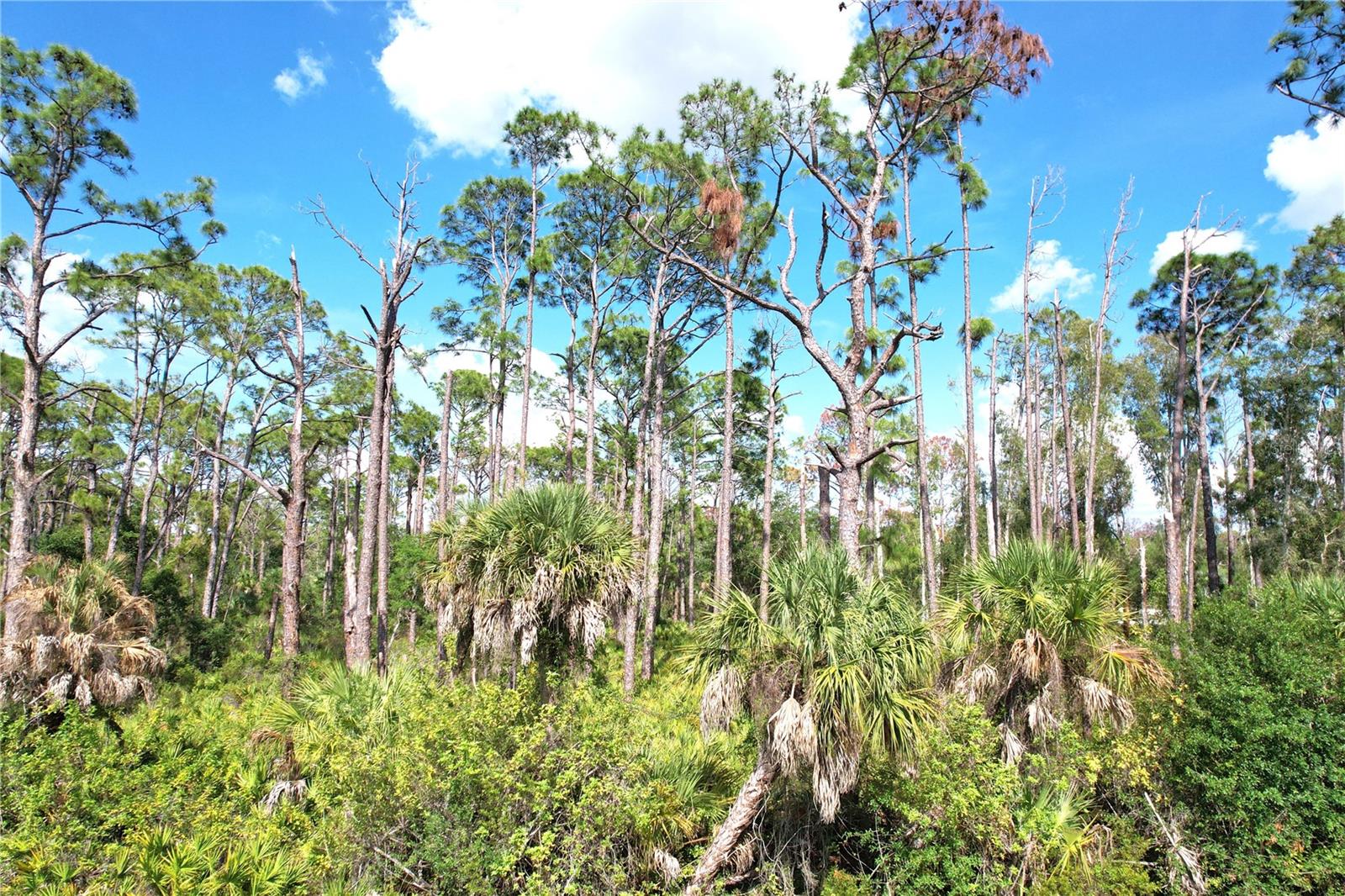 510 DAILEY ST, PORT CHARLOTTE, FL, 33953