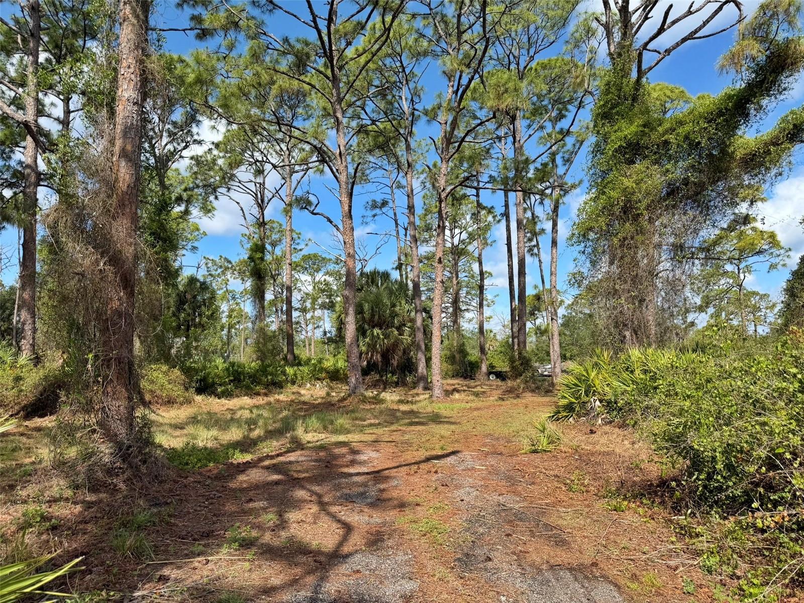 1213 CASPER ST, PORT CHARLOTTE, FL, 33953
