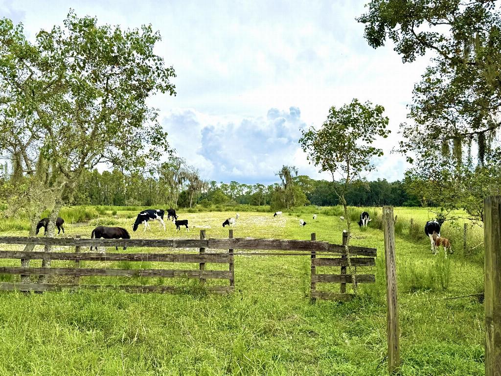 8206 BACK RD, PLANT CITY, FL, 33565