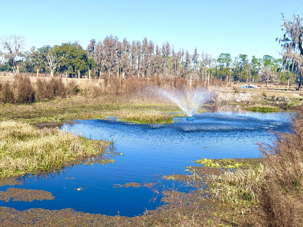 8206 BACK RD, PLANT CITY, FL, 33565