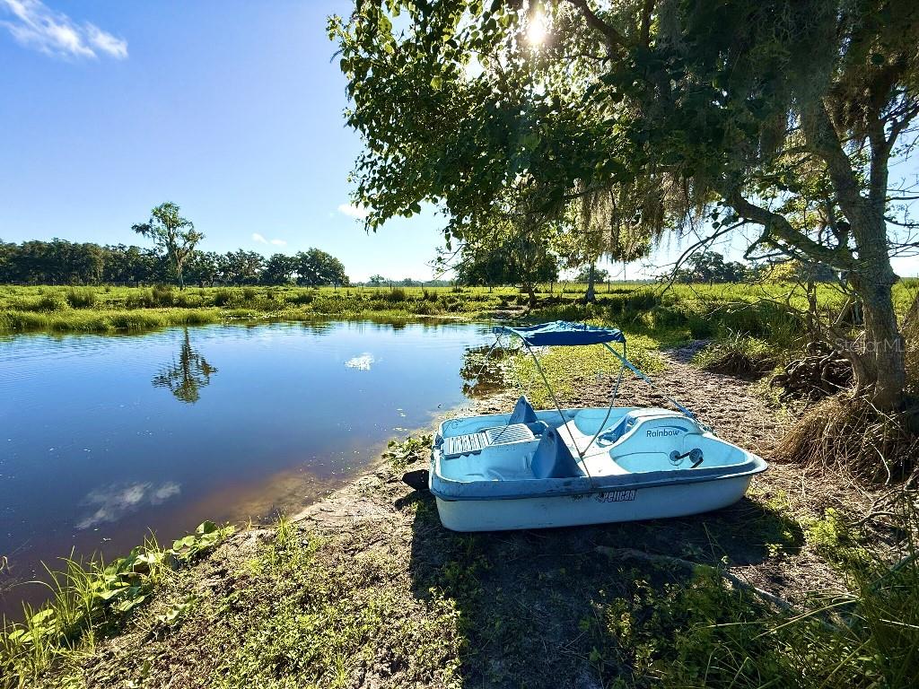 8206 BACK RD, PLANT CITY, FL, 33565