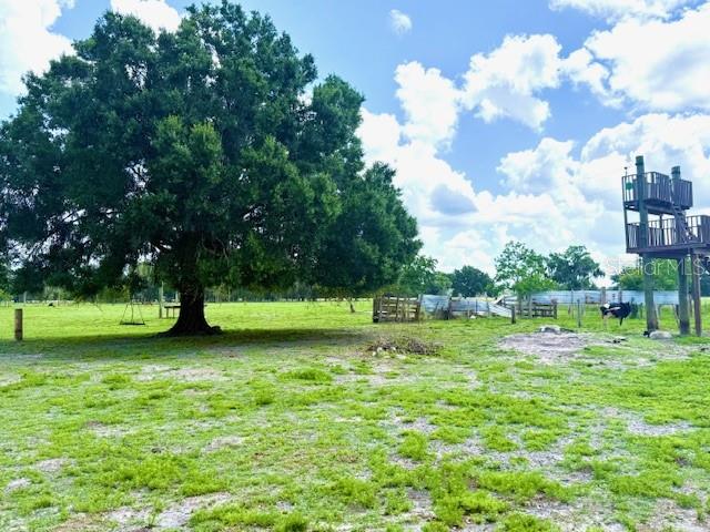 8206 BACK RD, PLANT CITY, FL, 33565