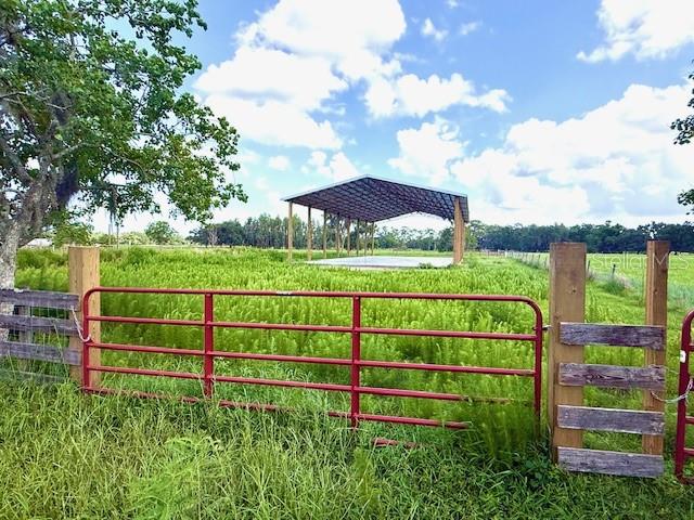 8206 BACK RD, PLANT CITY, FL, 33565