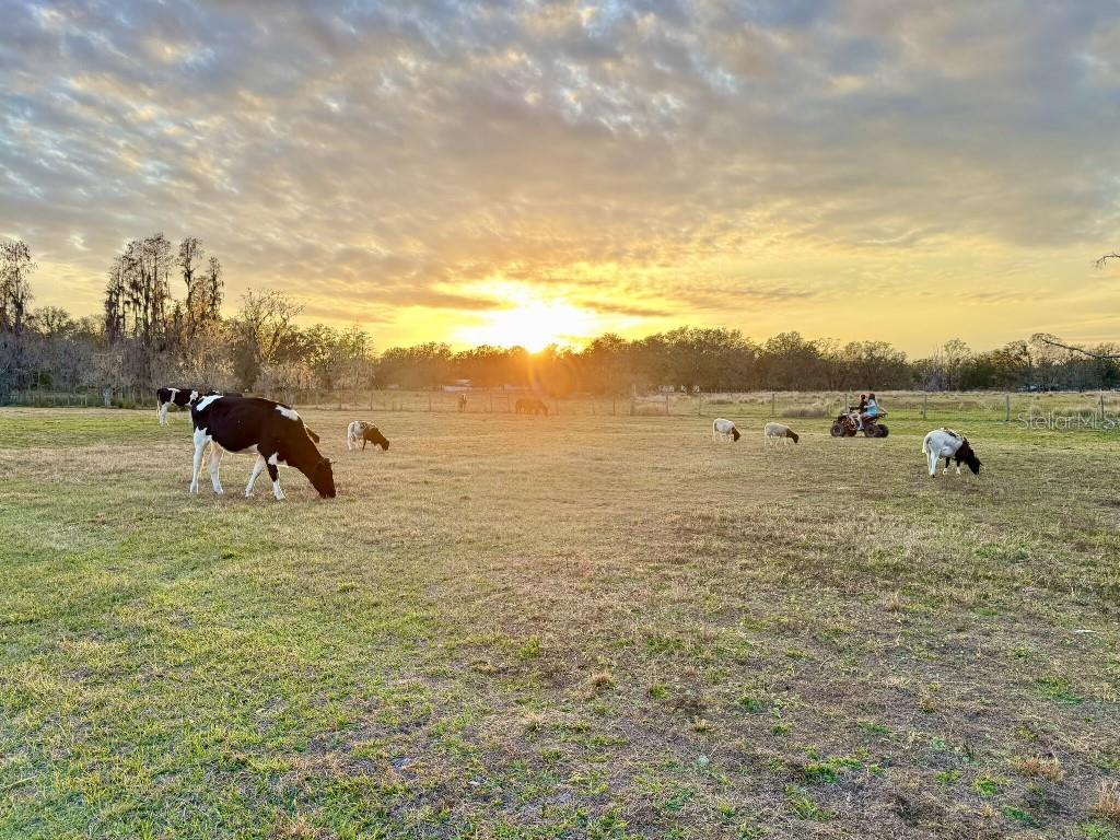 8206 BACK RD, PLANT CITY, FL, 33565
