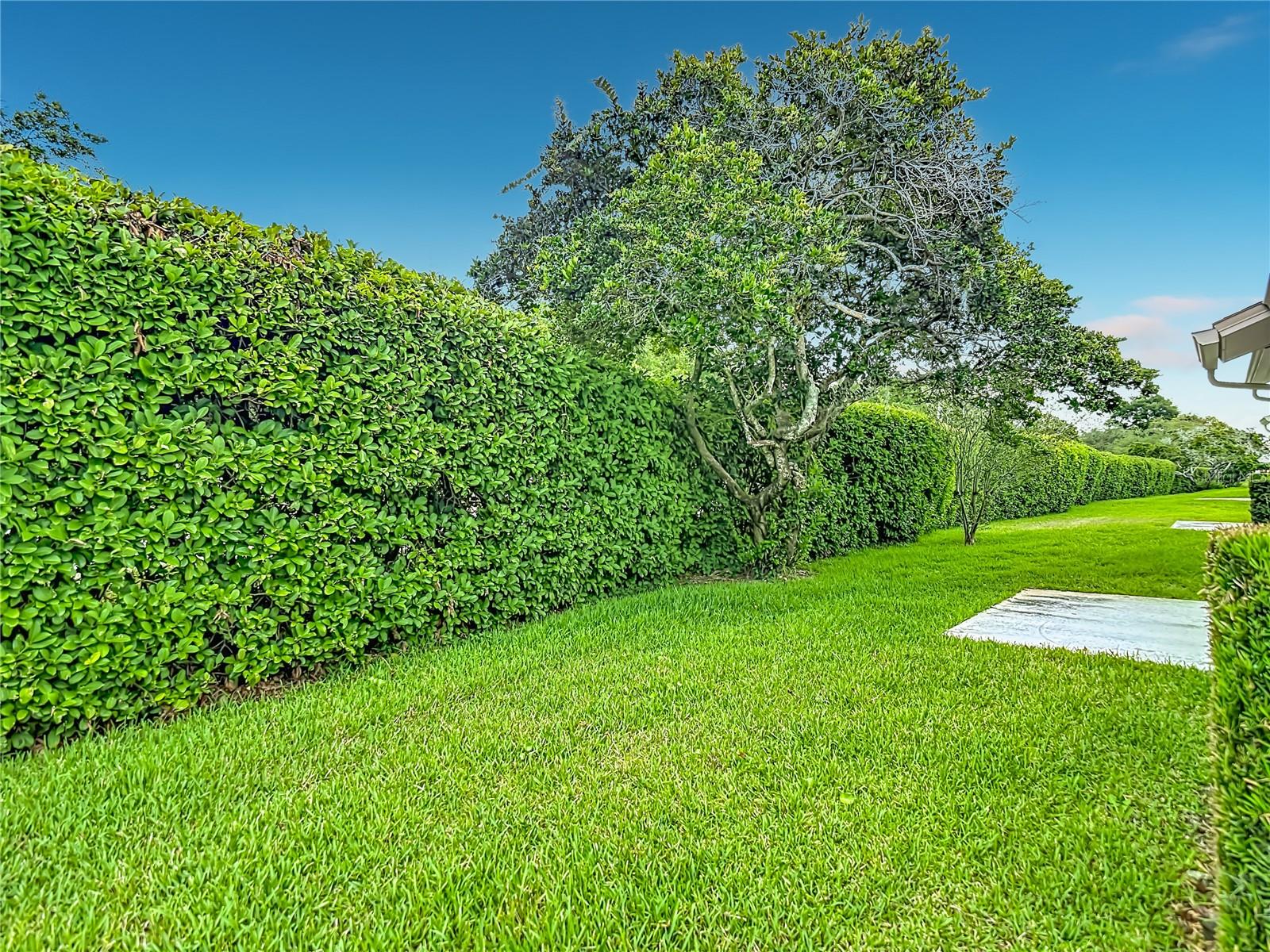 11541 ORLEANS LN, PORT RICHEY, FL, 34668