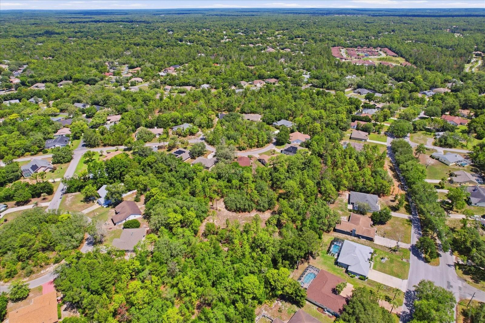 20 SALVIA CT, HOMOSASSA, FL, 34446
