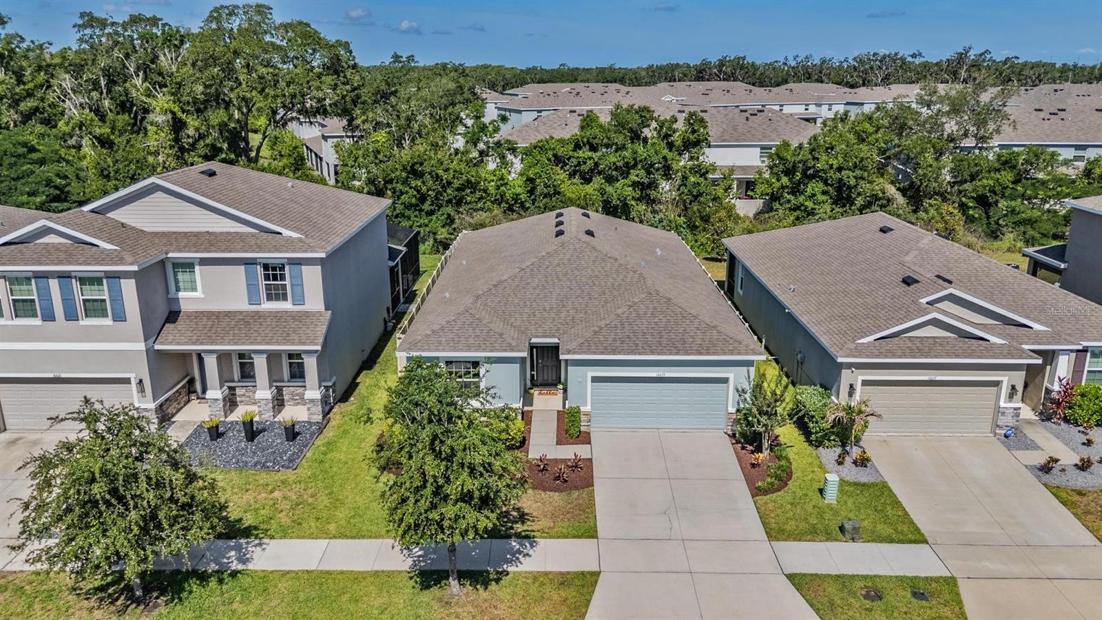 16619 GOOSE RIBBON PL, WIMAUMA, FL, 33598