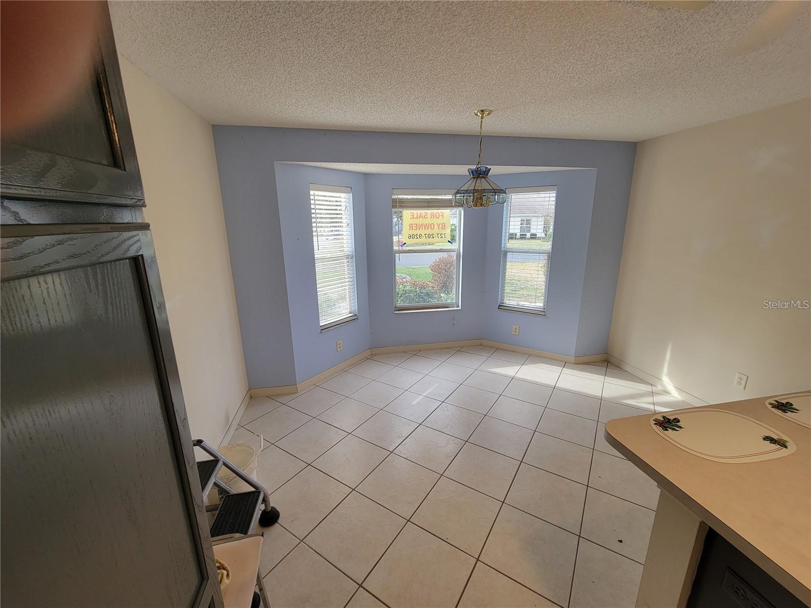 1033 OAK FOREST DR, THE VILLAGES, FL, 32162