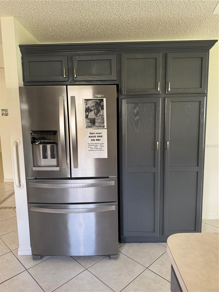 1033 OAK FOREST DR, THE VILLAGES, FL, 32162