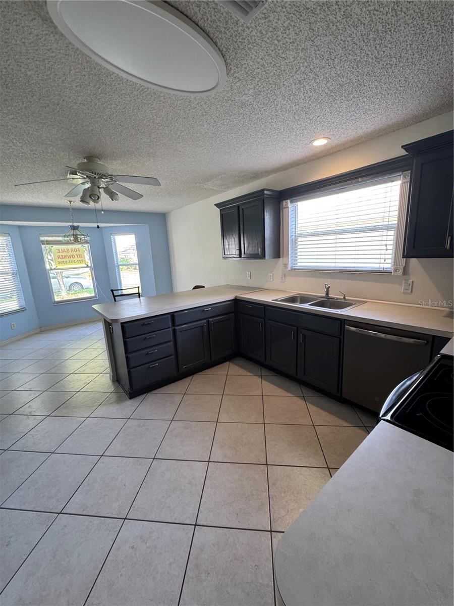 1033 OAK FOREST DR, THE VILLAGES, FL, 32162