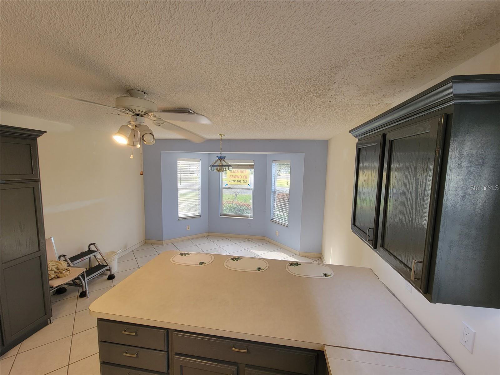 1033 OAK FOREST DR, THE VILLAGES, FL, 32162