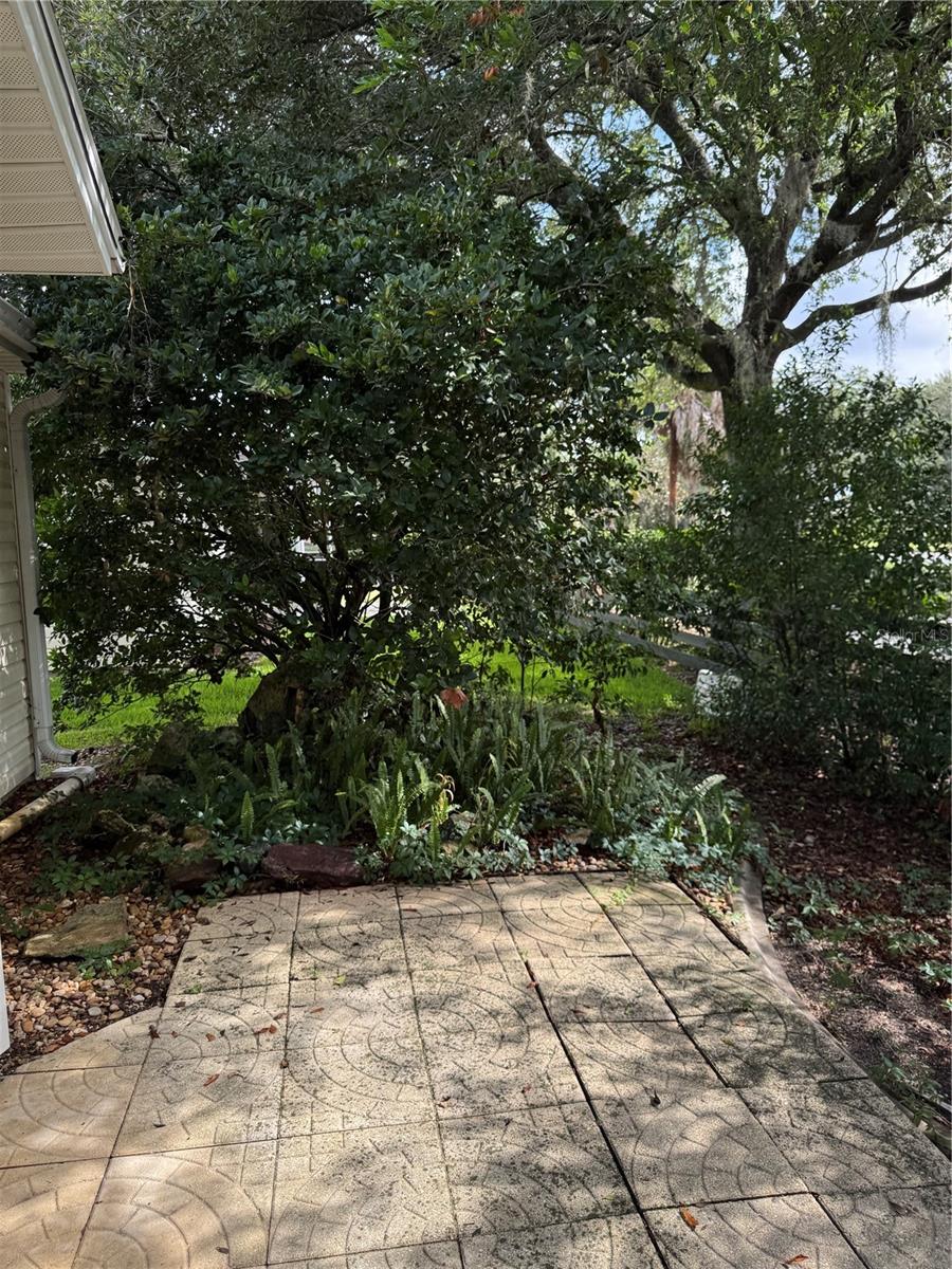 1033 OAK FOREST DR, THE VILLAGES, FL, 32162