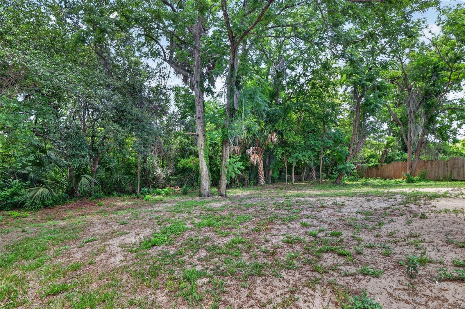 36 BAY RIDGE LOOP, MASCOTTE, FL, 34753