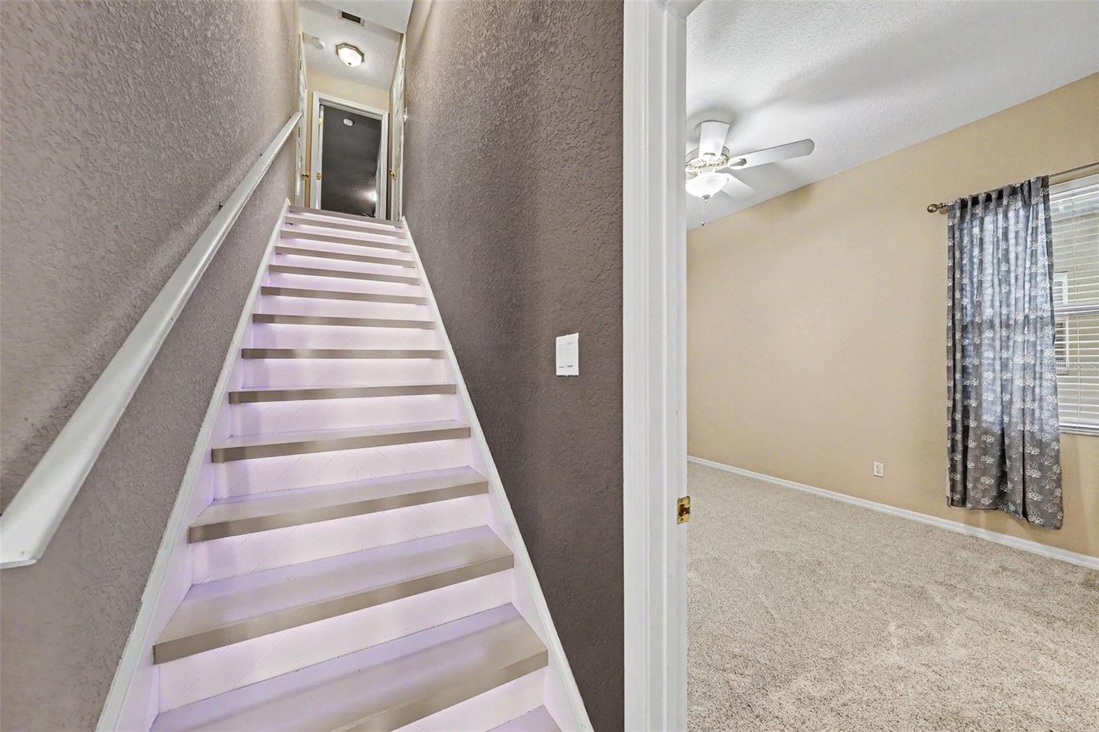 2305 VALRICO FOREST DR, VALRICO, FL, 33594