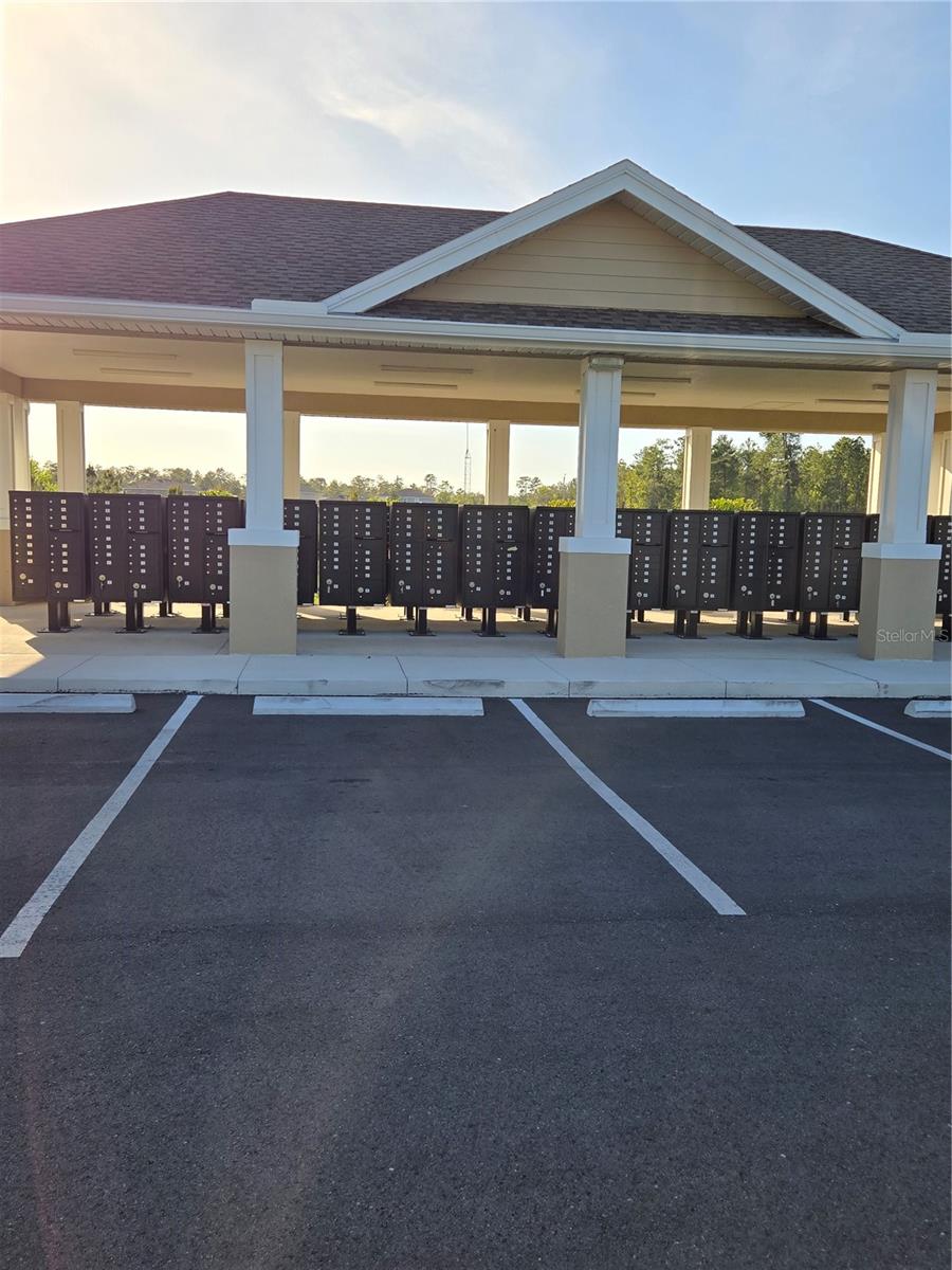 11370 TIMBER GROVE LN, BROOKSVILLE, FL, 34613