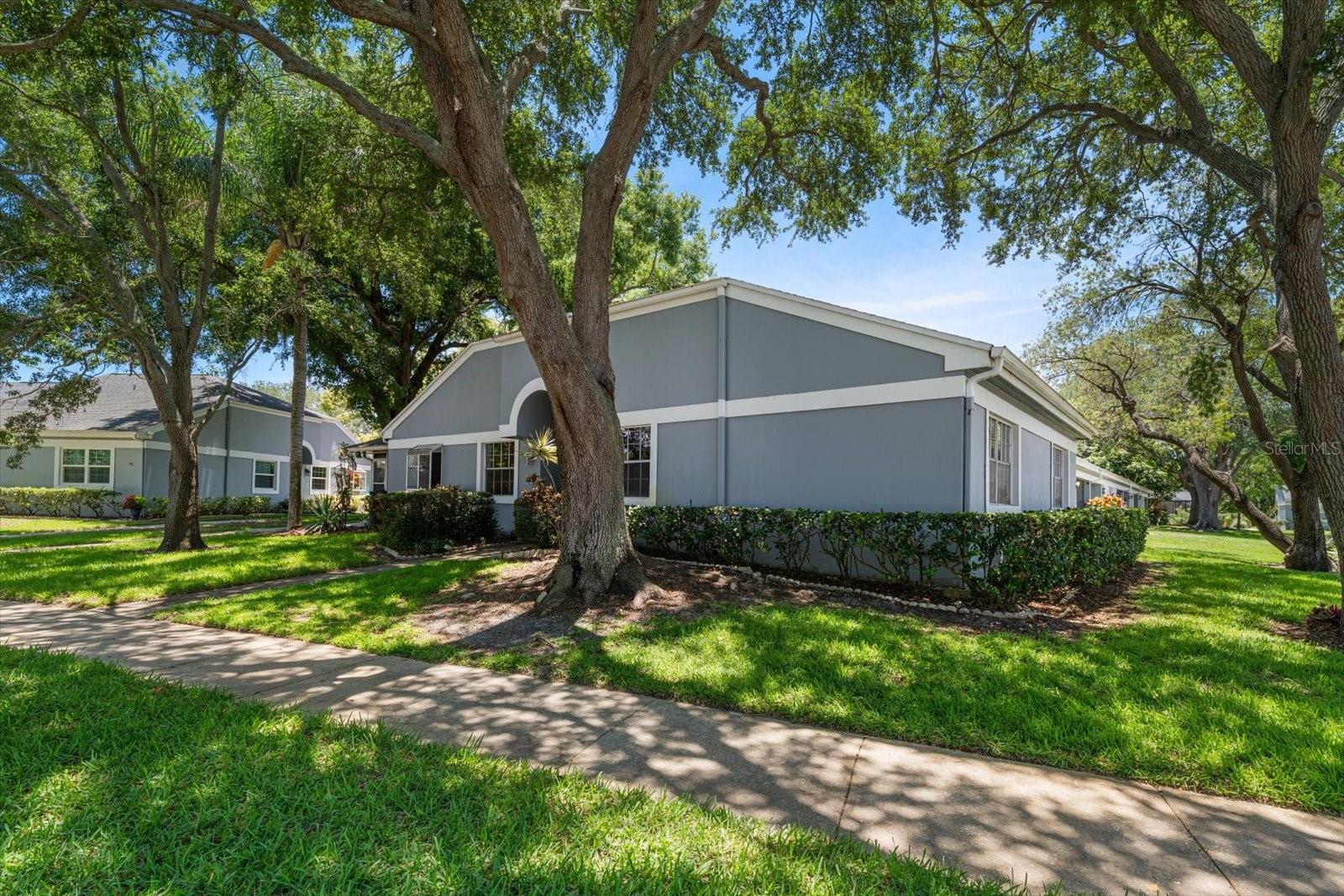 1334 WICKFORD ST, SAFETY HARBOR, FL, 34695