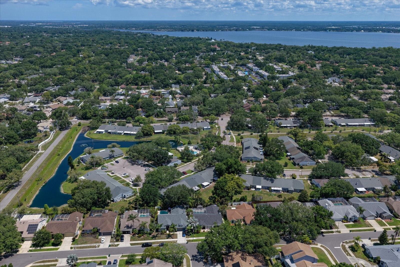 1334 WICKFORD ST, SAFETY HARBOR, FL, 34695