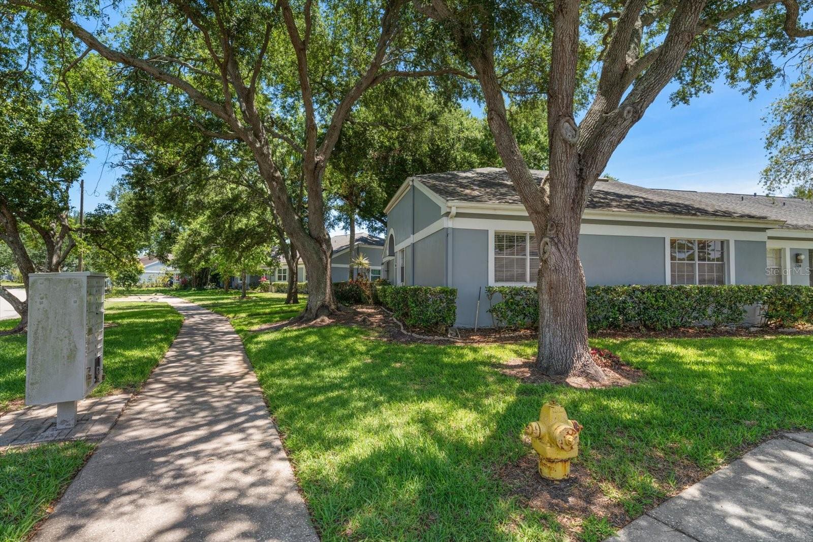1334 WICKFORD ST, SAFETY HARBOR, FL, 34695