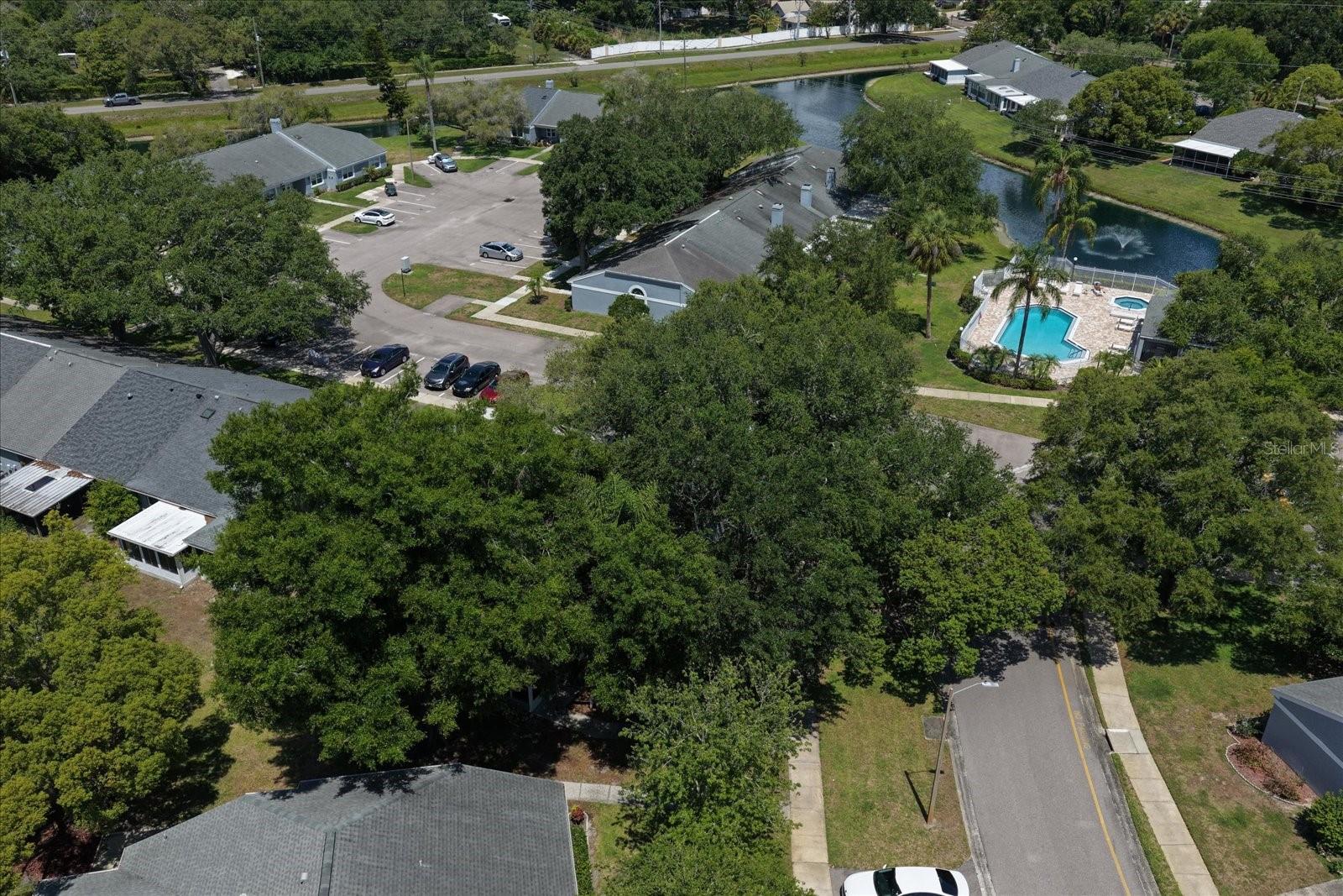 1334 WICKFORD ST, SAFETY HARBOR, FL, 34695